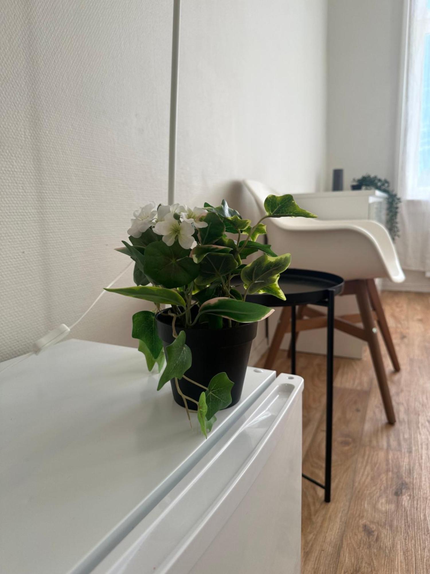 The Bloom Apartments Όσλο Εξωτερικό φωτογραφία